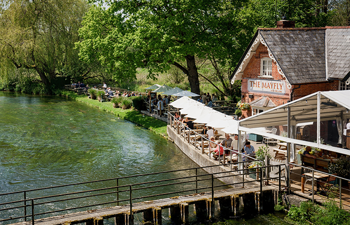 bank-holiday-beer-gardens-mayfly