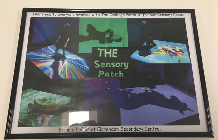 The Cabbage Patch raises £15K for Clarendon School’s sensory room