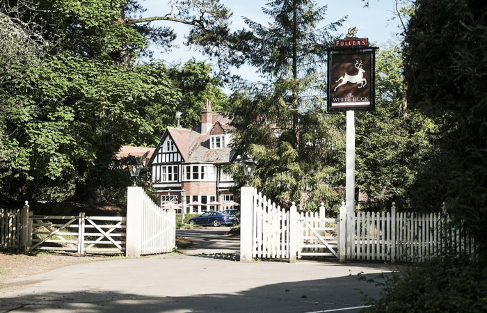 Country pubs The White Buck, Hampshire, England