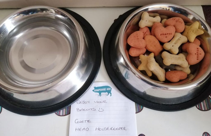 Hampshire Hog dog treats clanfield