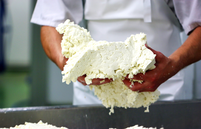 Laverstoke Park Farm mozzarella making