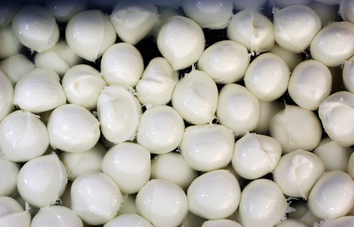 Making Mozzarella for Fuller's kitchens by Laverstoke Park Farm 