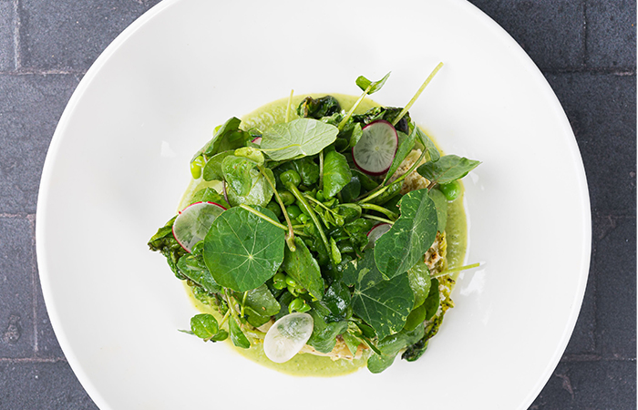 fullers-new-spring-menu-2022-baby-gem