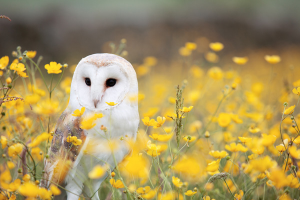 Best things to do in Hampshire