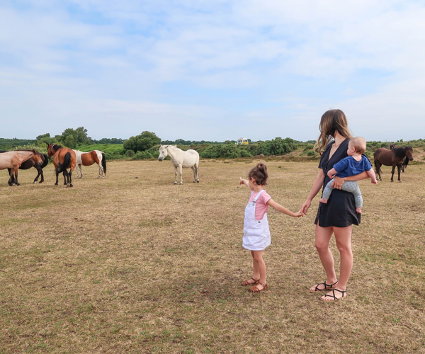Best things to do in Hampshire with children