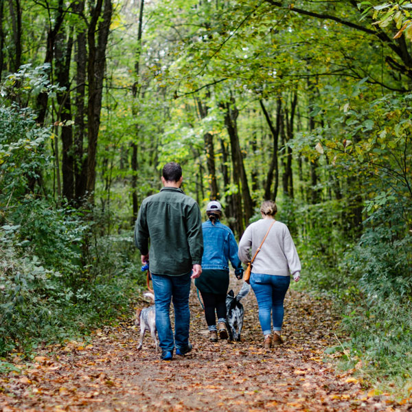 Hampshire's best attractions
